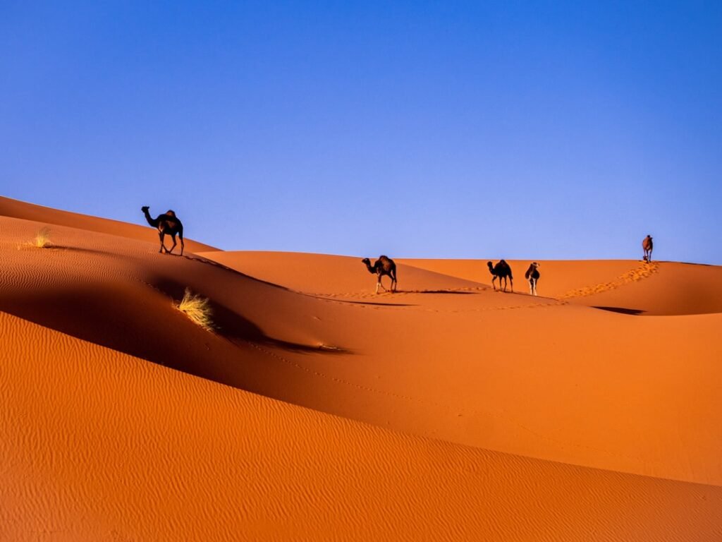 15 Most Interesting Places in Morocco (2026 Travel Guide)