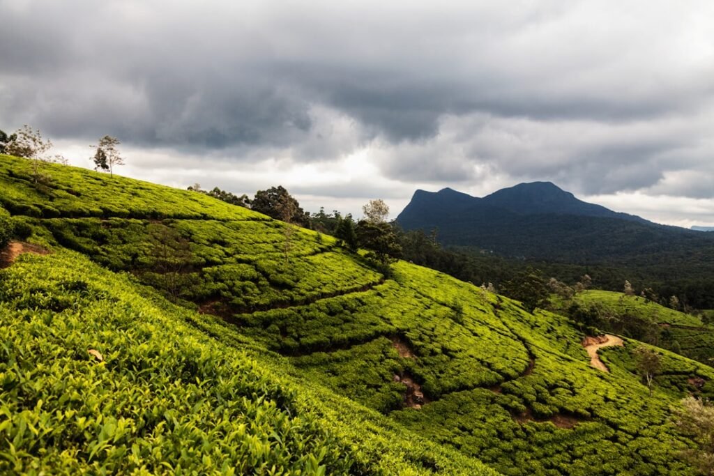 15 Most Interesting Places in Sri Lanka (2026 Travel Guide)