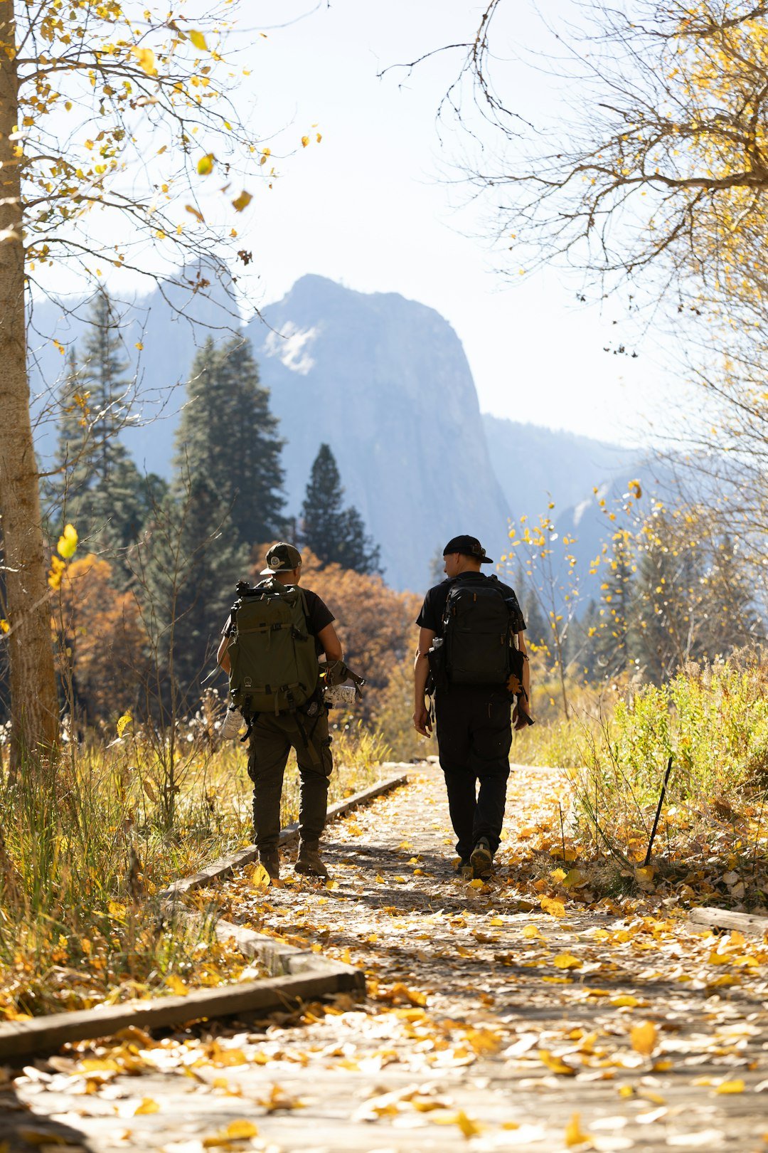 Friends hiking together in the mountains on a group travel trip