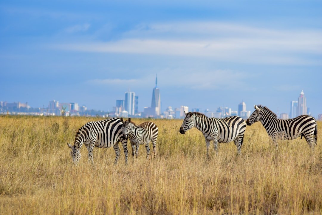 Wildlife in Nairobi National Park with city skyline