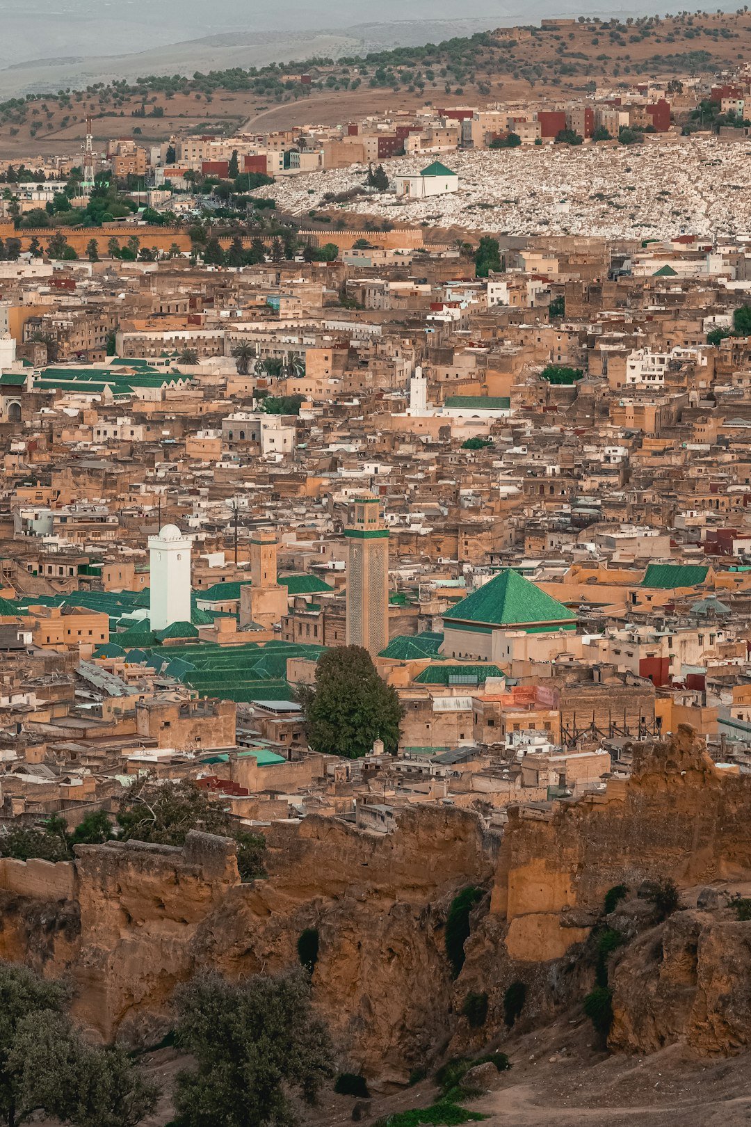 The ancient medina of Fes Morocco