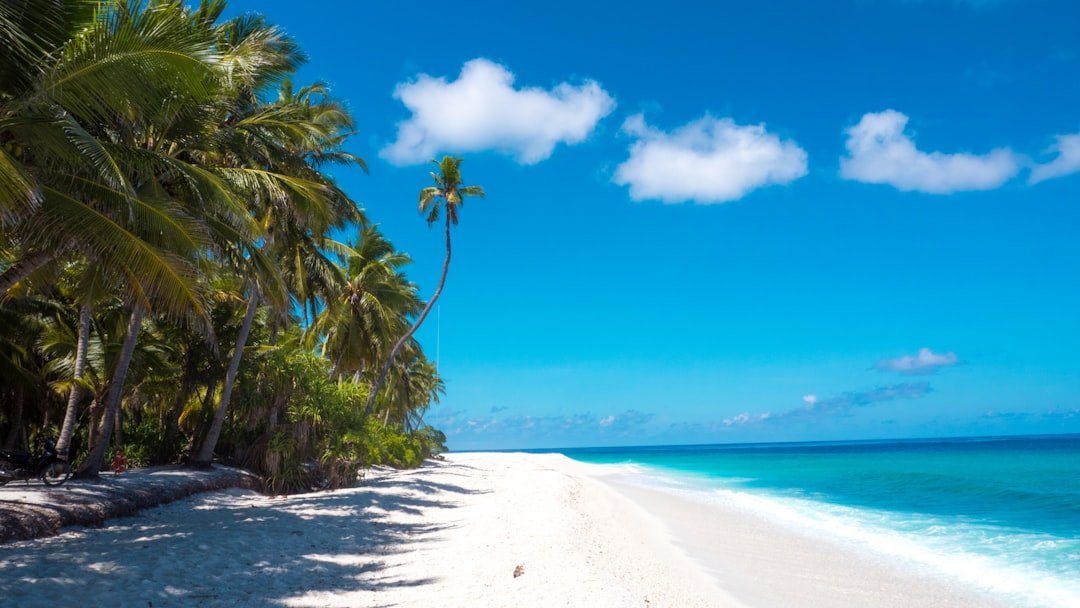 Secluded off the beaten path tropical beach with turquoise water