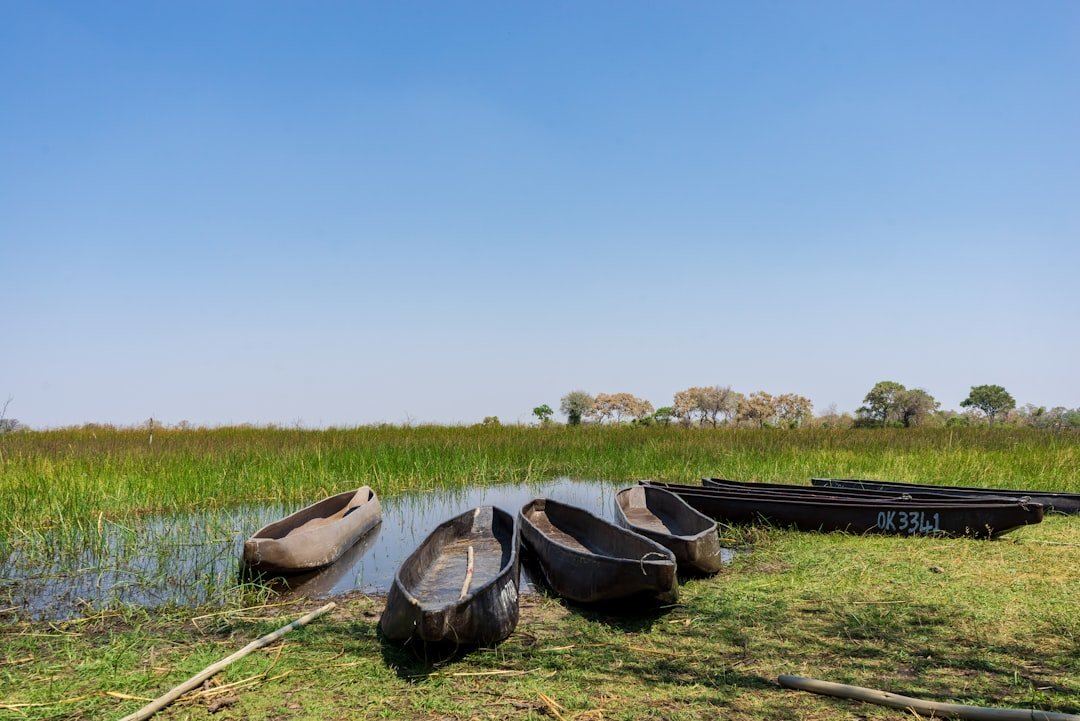 Aerial view of the Okavango Delta in Botswana