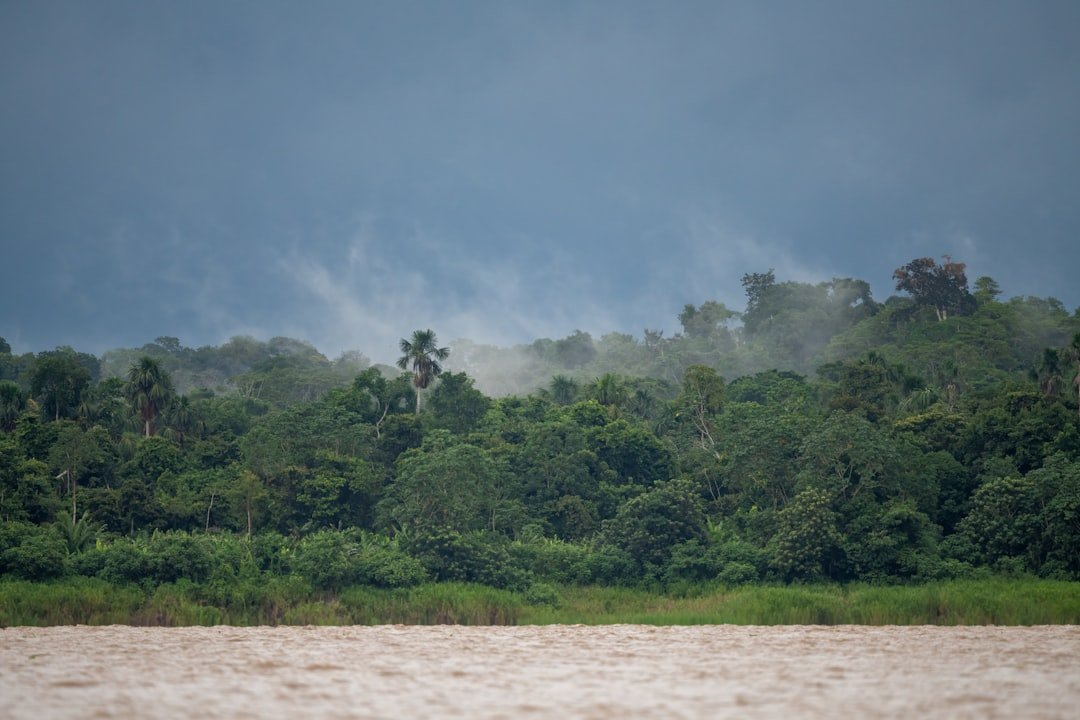 Amazon jungle river in Peru's tropical rainforest