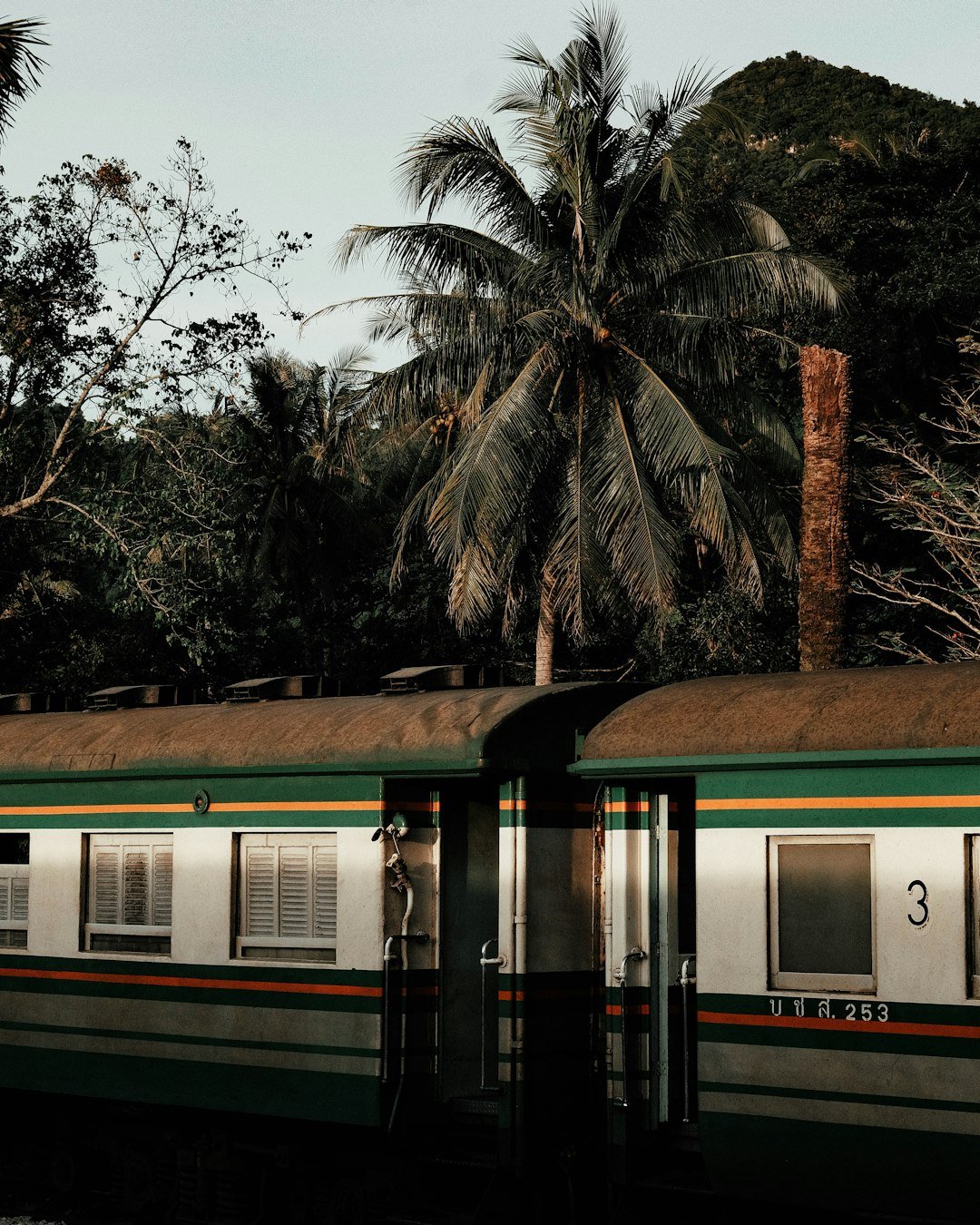 Solo backpacker on a train adventure trip