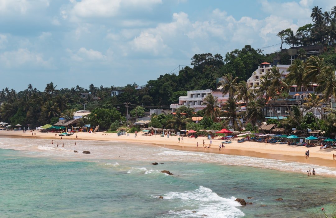 Sri Lanka tropical beach with palm trees