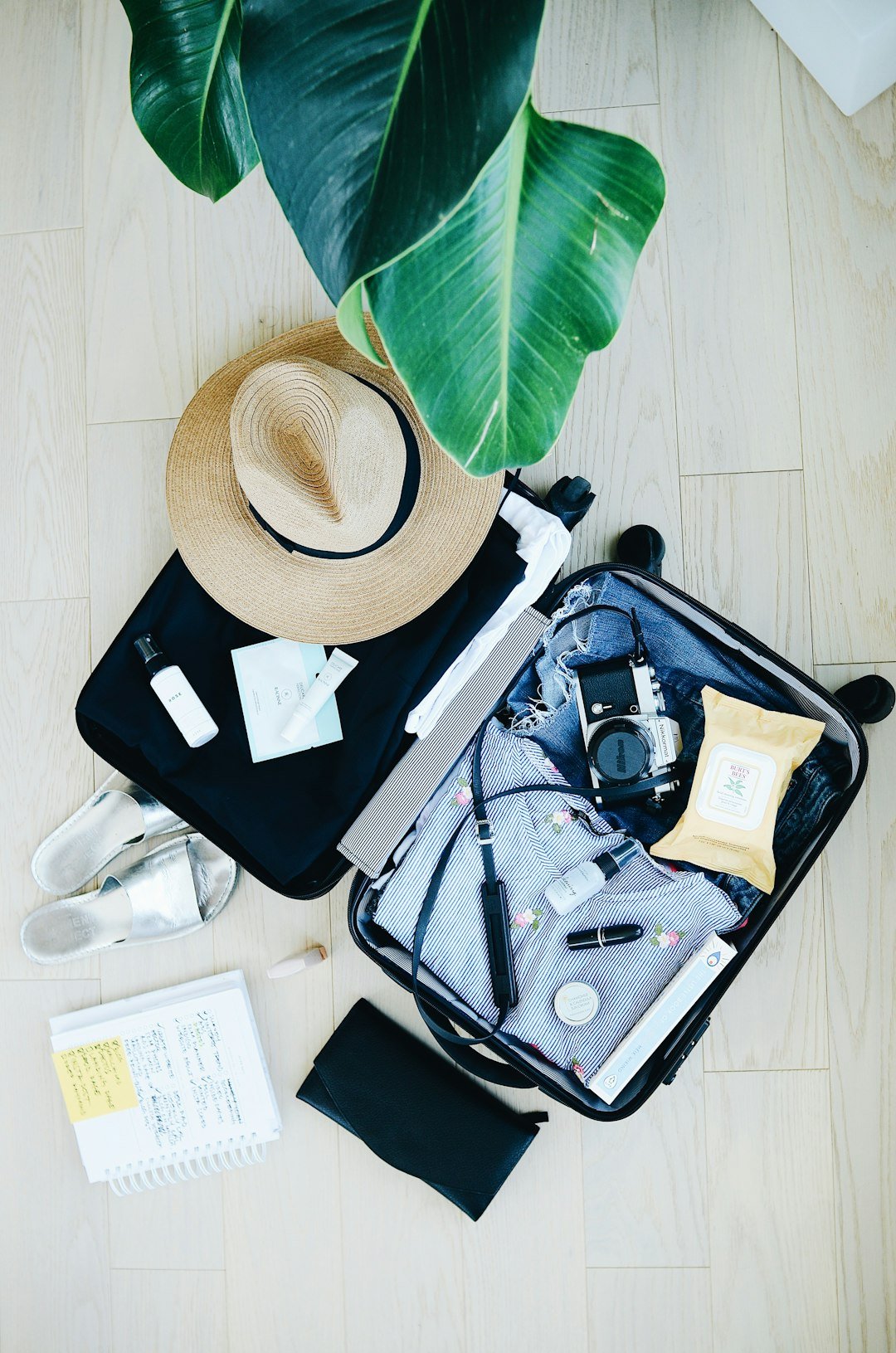 Organised travel clothes and packing cubes for efficient packing