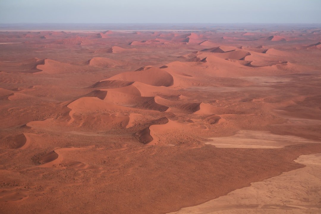 Dead trees standing in the red sand dunes of Deadvlei in the Namib desert