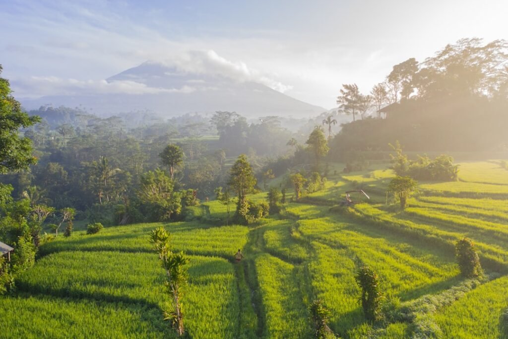 Top 10 Places in Bali: What’s Worth It and What’s Overrated