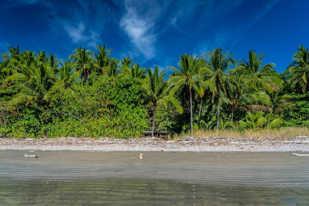Best Time to Visit Costa Rica: Month-by-Month Guide